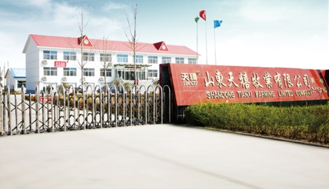 Shandong Tianxi Animal Husbandry Co., Ltd. Wastewater Advanced Treatment Project